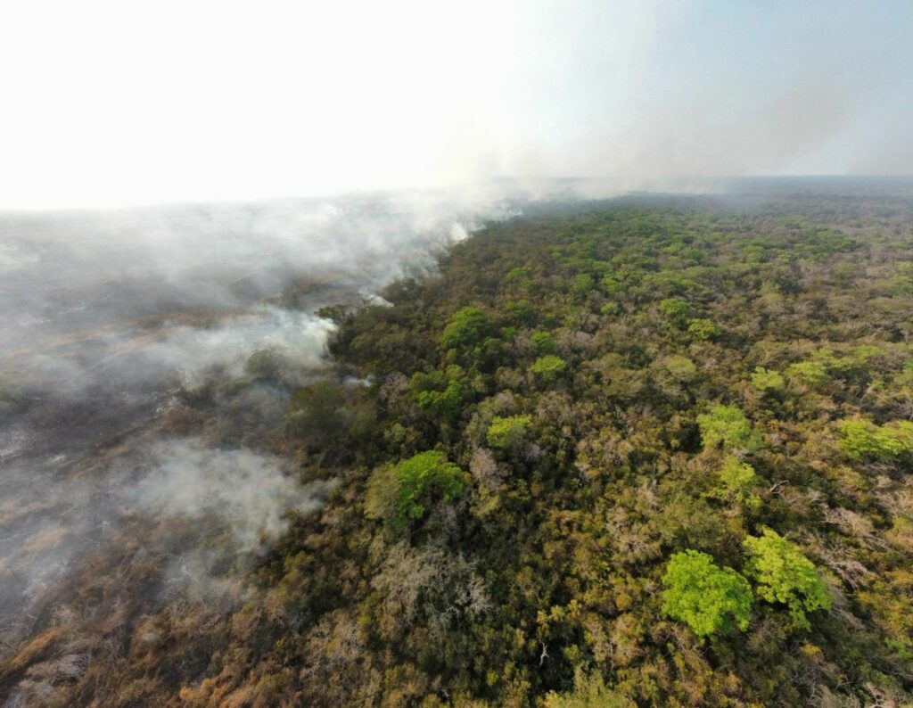 Incendios forestales Petén