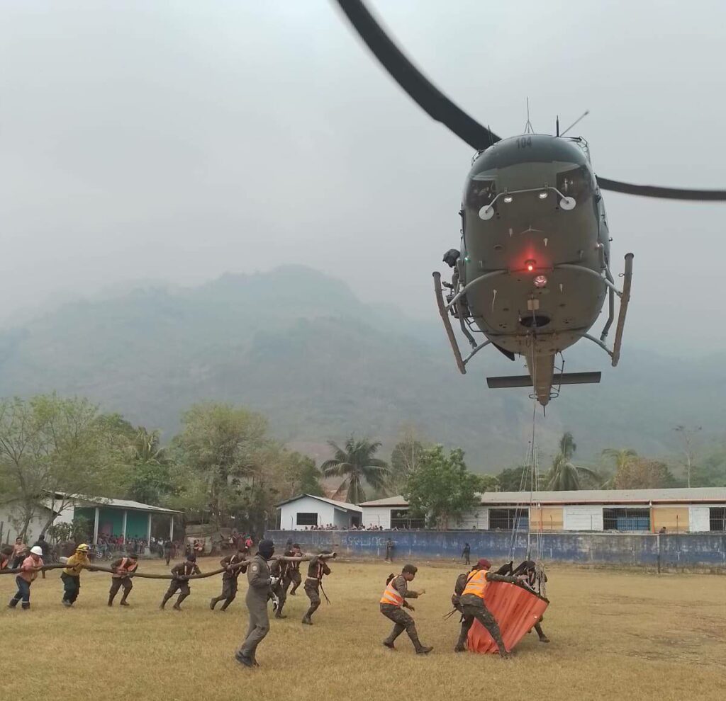 Bambi Bucket