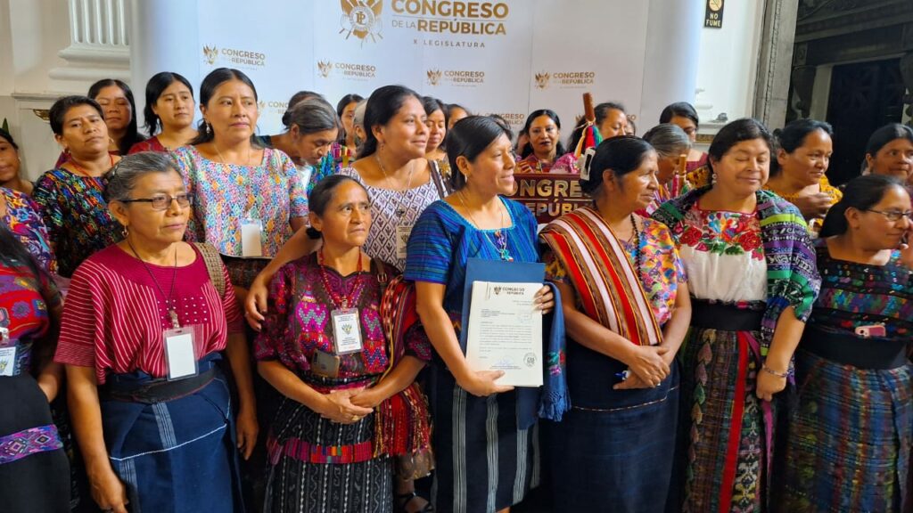Propuesta creación Defensoría de la Mujer Indígena