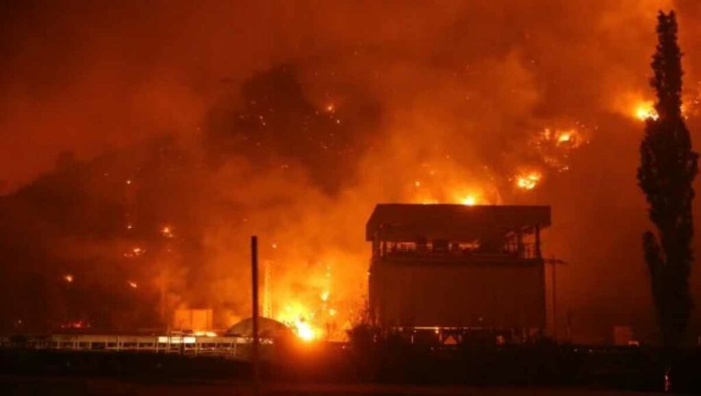 Al menos 11 personas fallecieron y decenas resultaron heridas en un incendio forestal que se propagó por los fuertes vientos en Turquía. Foto: AFP