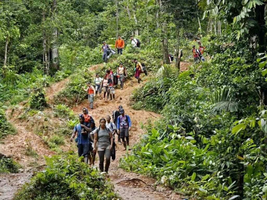 Panamá confirmó que cerró algunos pasos irregulares usados por migrantes para cruzar por la selva del Darién. Foto: AFP