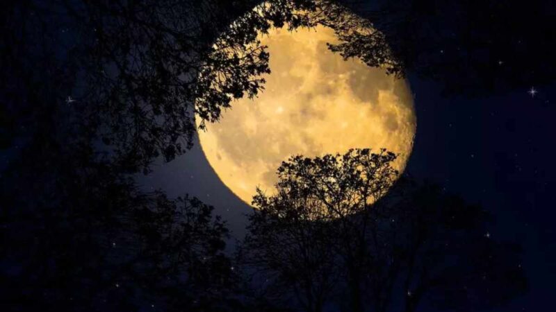 China envió al espacio muestras de ladrillos en un cohete, para someterlas a pruebas y determinar si podría construir una base en la Luna.