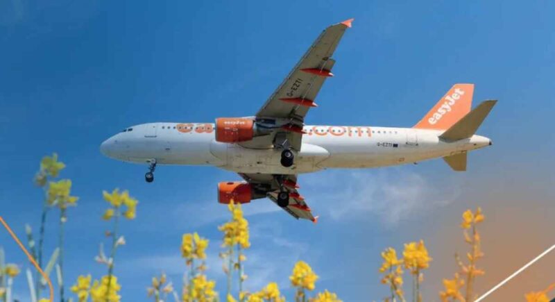 El Gobierno español anunció una multa de 179 millones de euros a las aerolíneas de bajo coste Ryanair, Vueling, EasyJet, Volotea y Norwegian, por prácticas abusivas.