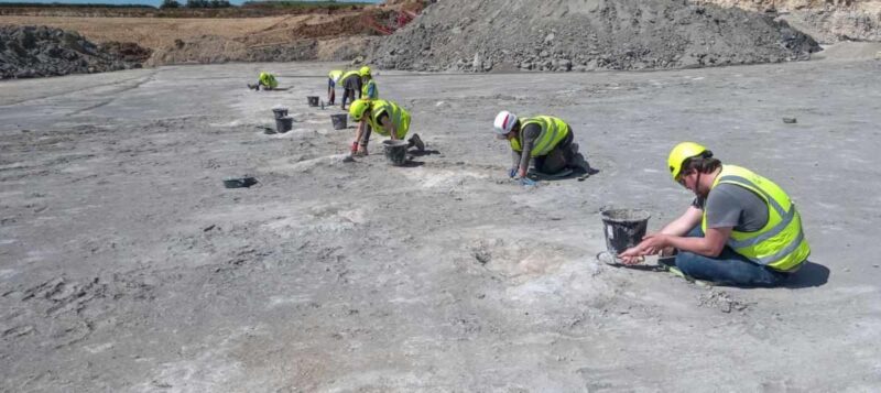 Estas impresionantes huellas dejadas por cinco dinosaurios serán mostradas el próximo en el programa de arqueología “Digging for Britain”