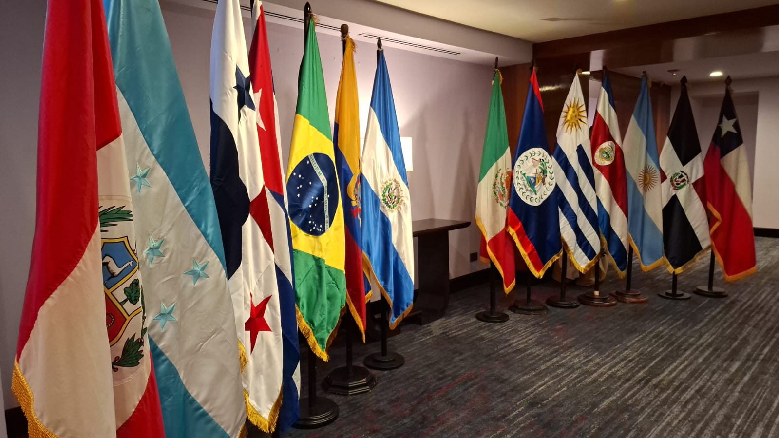 OEA agenda sesión extraordinaria del Consejo Permanente para abordar la  situación de Guatemala