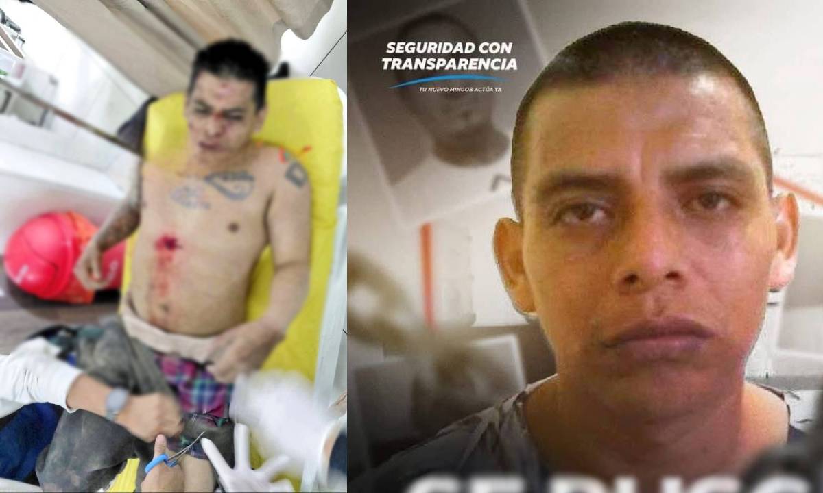 “El Inquieto” regresa al sector 11 del Preventivo