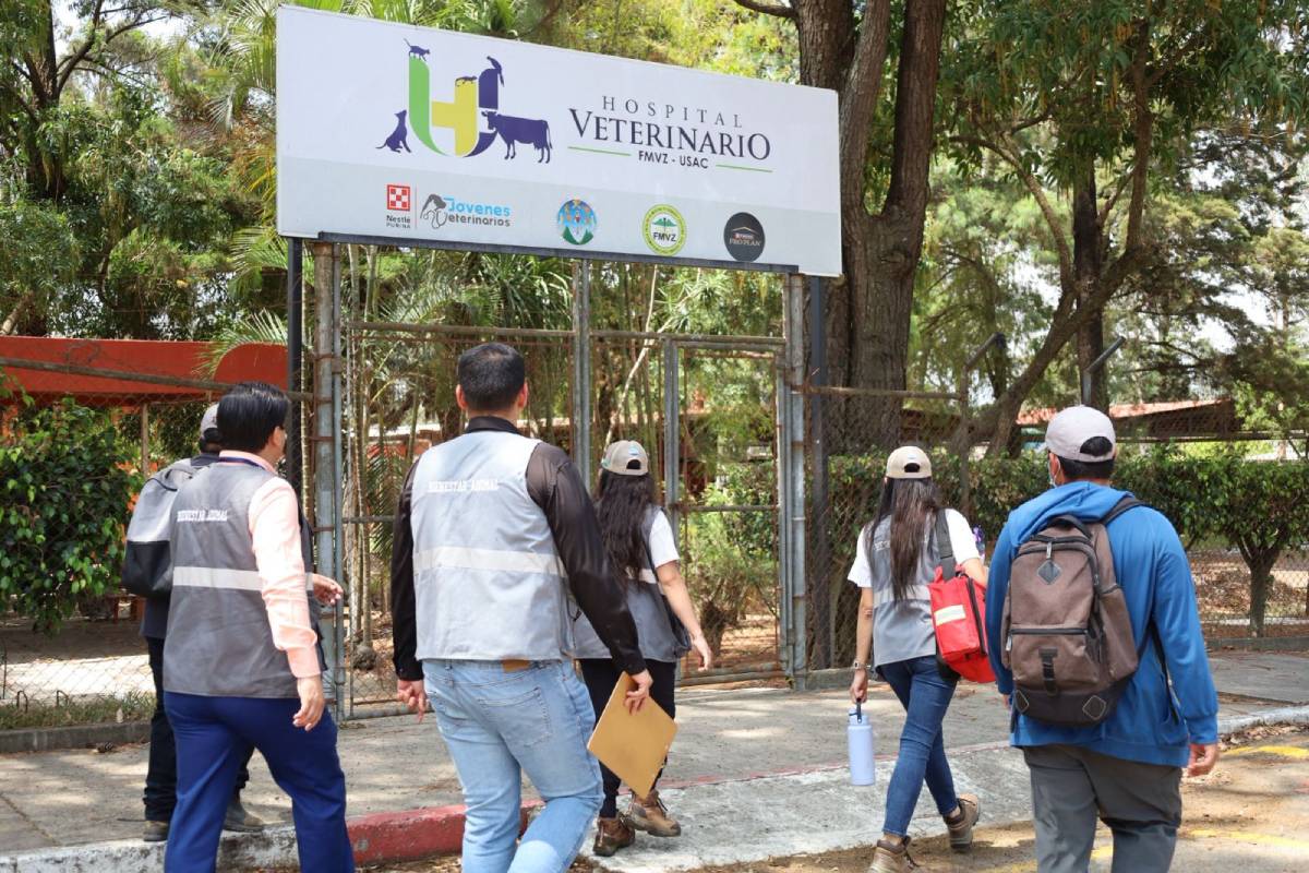 MAGA verifica estado de animales en Facultad de Veterinaria de la USAC