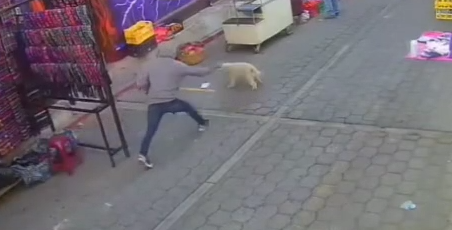 Indignación por caso de maltrato animal en San Lucas Tolimán