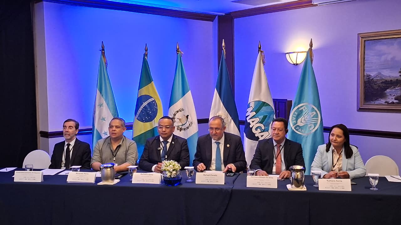 Nueva herramienta climática apoyará a agricultores en Corredor Seco de Guatemala
