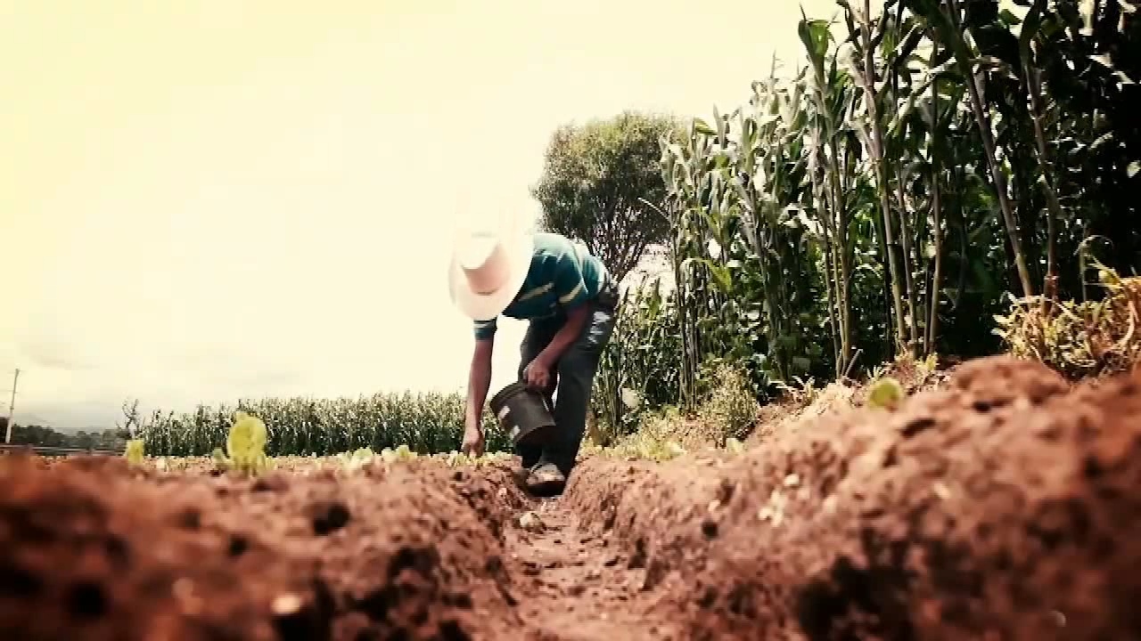 Prevén fuerte impacto del fenómeno del Niño en Guatemala