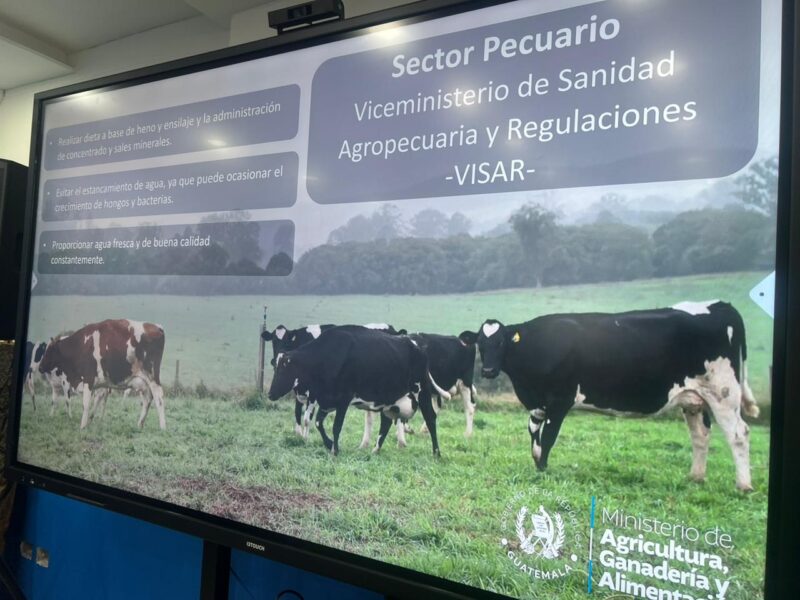 MAGA mantiene alerta en 243 municipios por riesgo de sequía y altas temperaturas