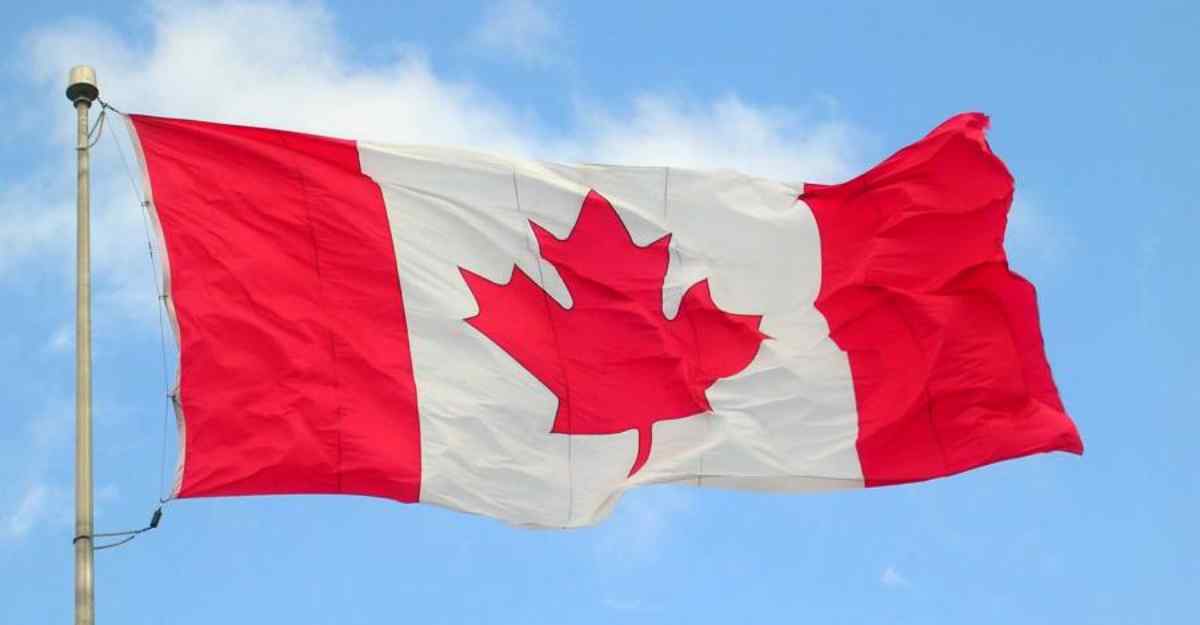 Contexto internacional impulsa resultados comerciales positivos para Canadá