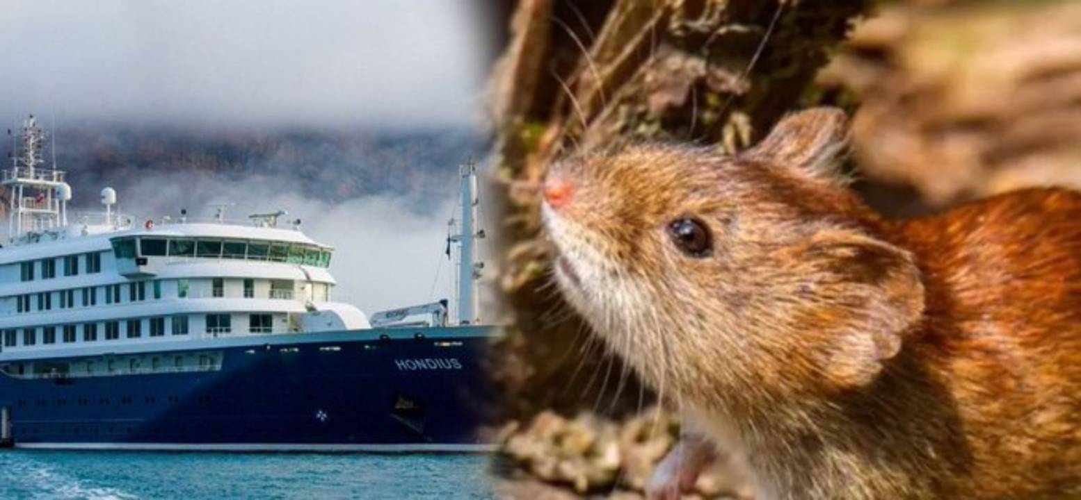 En Guatemala no hay registro de Hantavirus