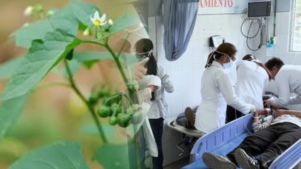 Familia resulta intoxicada tras consumir hierbas
