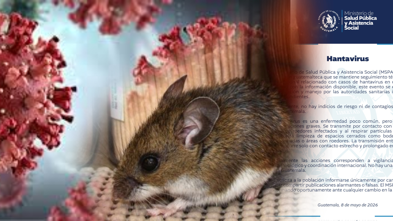 Ministerio de Salud descarta riesgo de contagios de Hantavirus en Guatemala