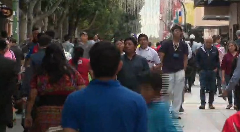 Ministerio de Salud reporta 331 casos de miasis por Gusano Barrenador en humanos en un año