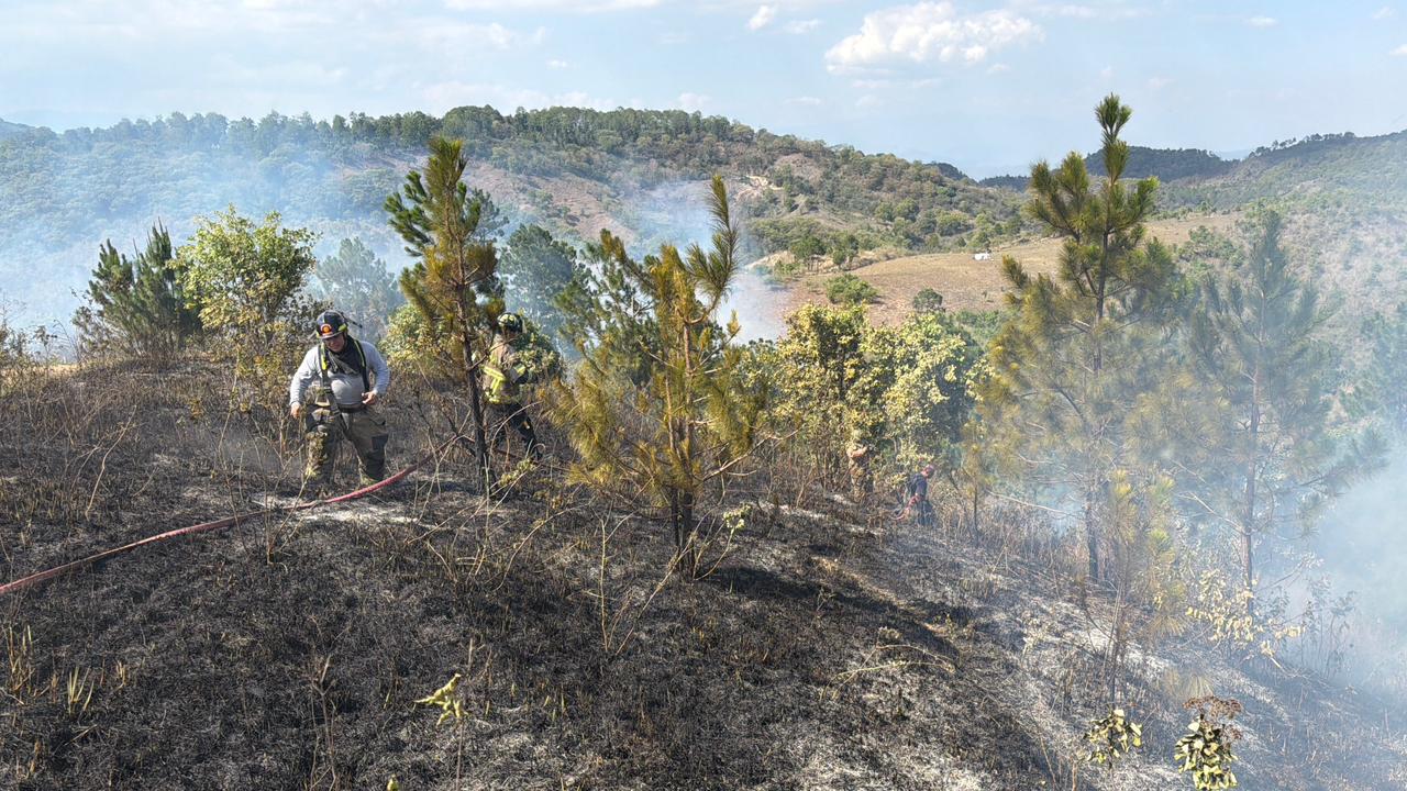 Bomberos controlan incendio forestal en zona 18