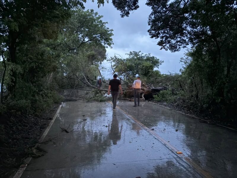 Lluvias causan emergencias y evacuaciones por cerc