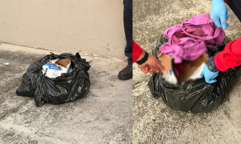 Abandonan neonato fallecido en zona 11 capitalina