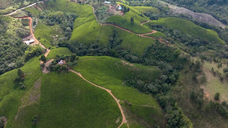 Colombia reduce los narcocultivos en 2025, aunque aumentan durante el mandato de Petro