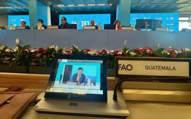 Guatemala participa en la 181.ª sesión del Consejo