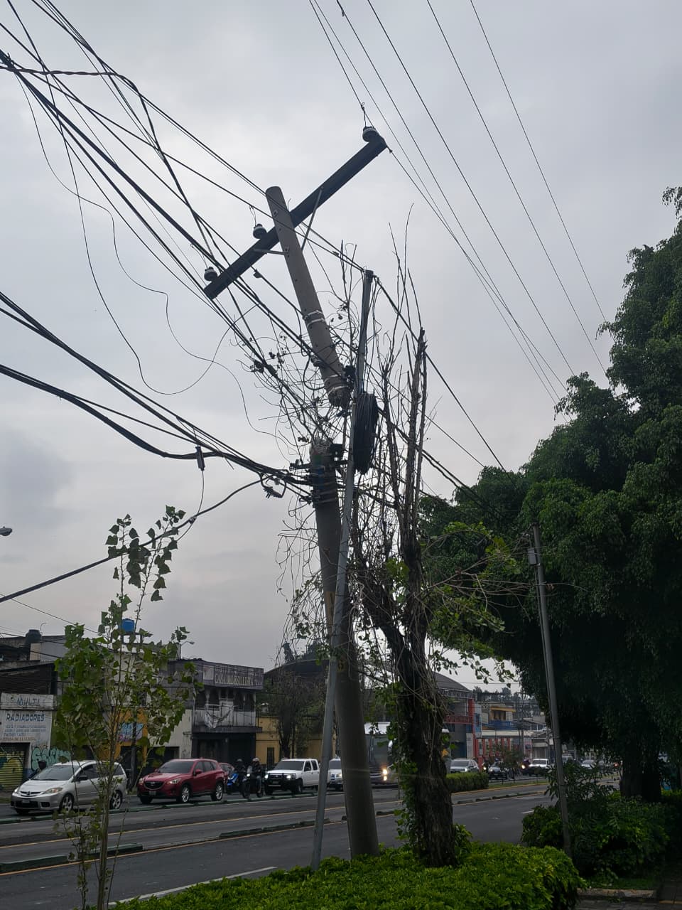 Conductor ebrio choca contra poste de alumbrado público